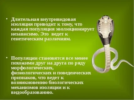 Изоляция приводят