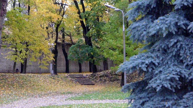 Летний сад имени а. Фонтан в ботаническом саду псков. Летний сад псков аттракционы. Летний сад псков. Парк пушкина псков.