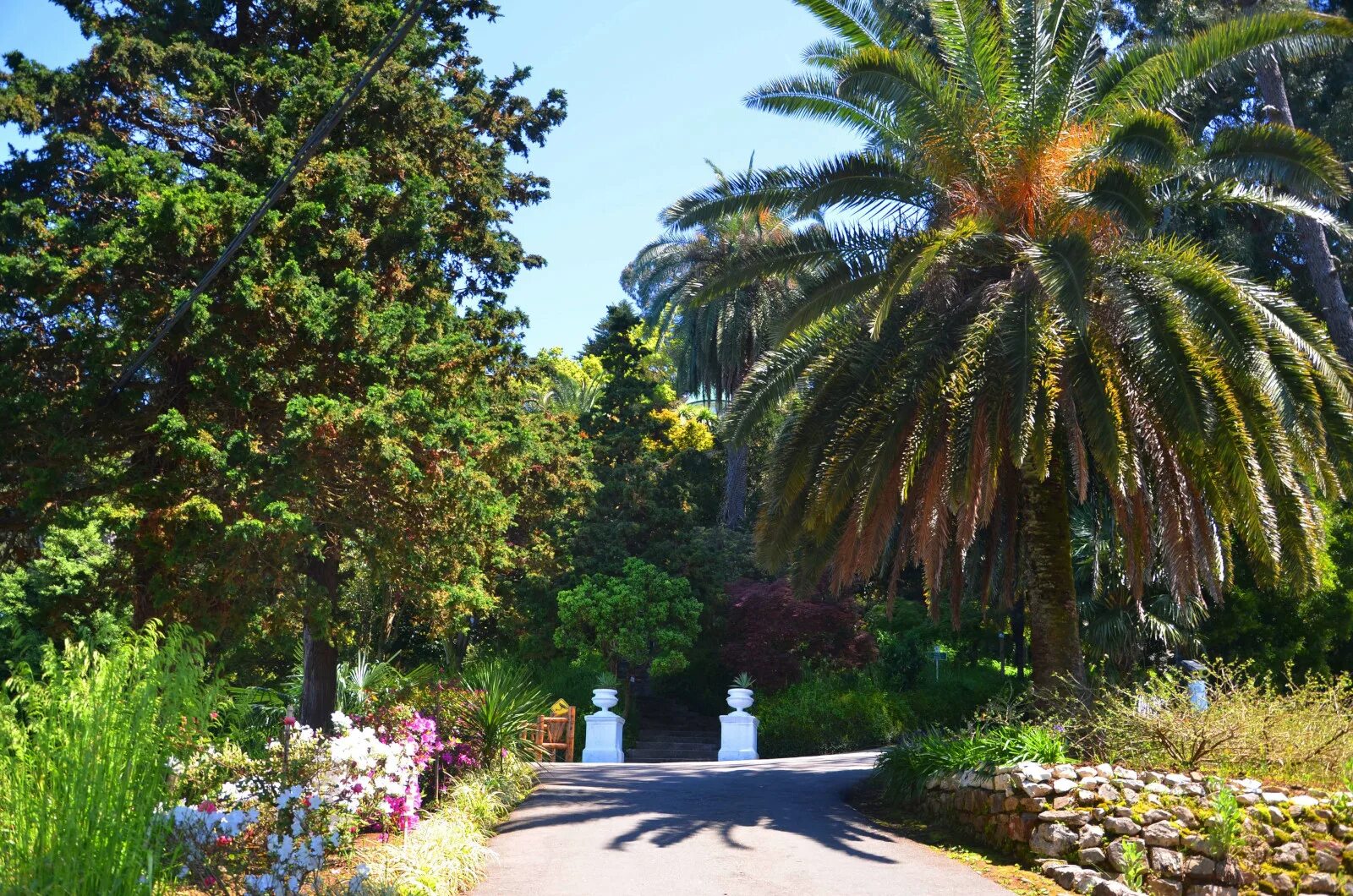 Gardens батуми. Махинджаури ботанический сад. ботанический сад грузия батуми. аджария ботанический сад. батумский ботанический сад грузия.