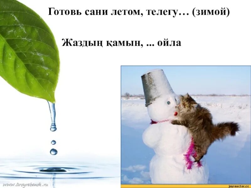 Все для активного отдыха В НАЛИЧИИ До наступления снега санки и снегокаты по СПЕ