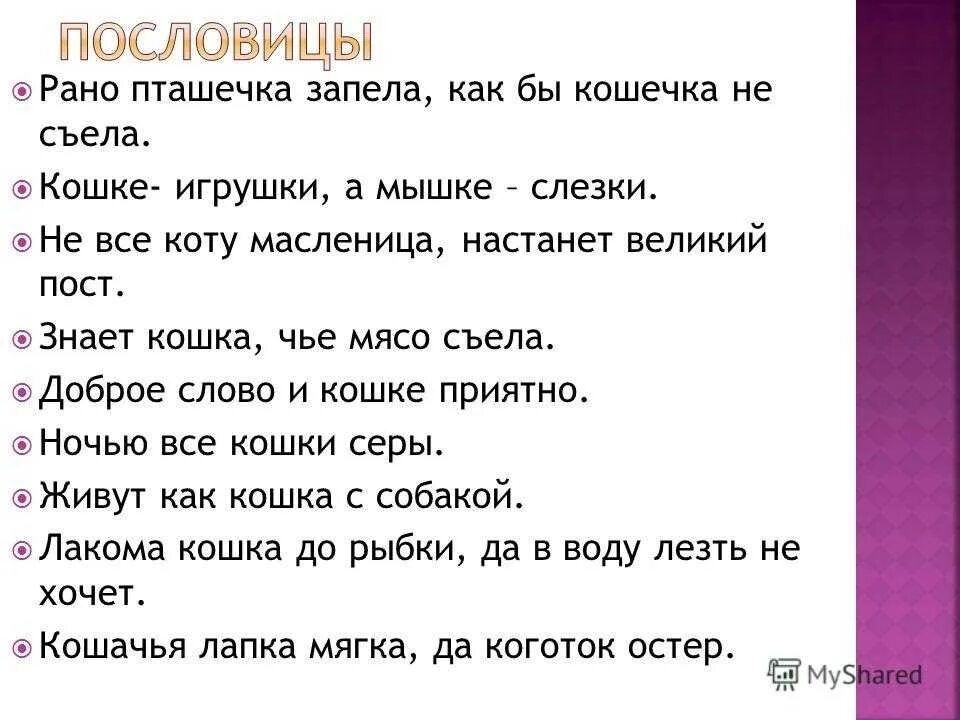 Значение пословицы доброе слово лучше мягкого пирога. Пословицы о кошках. Пословицы про кошек для детей. Пословицы и поговорки о кошках. Пословицы и поговорки о котах.