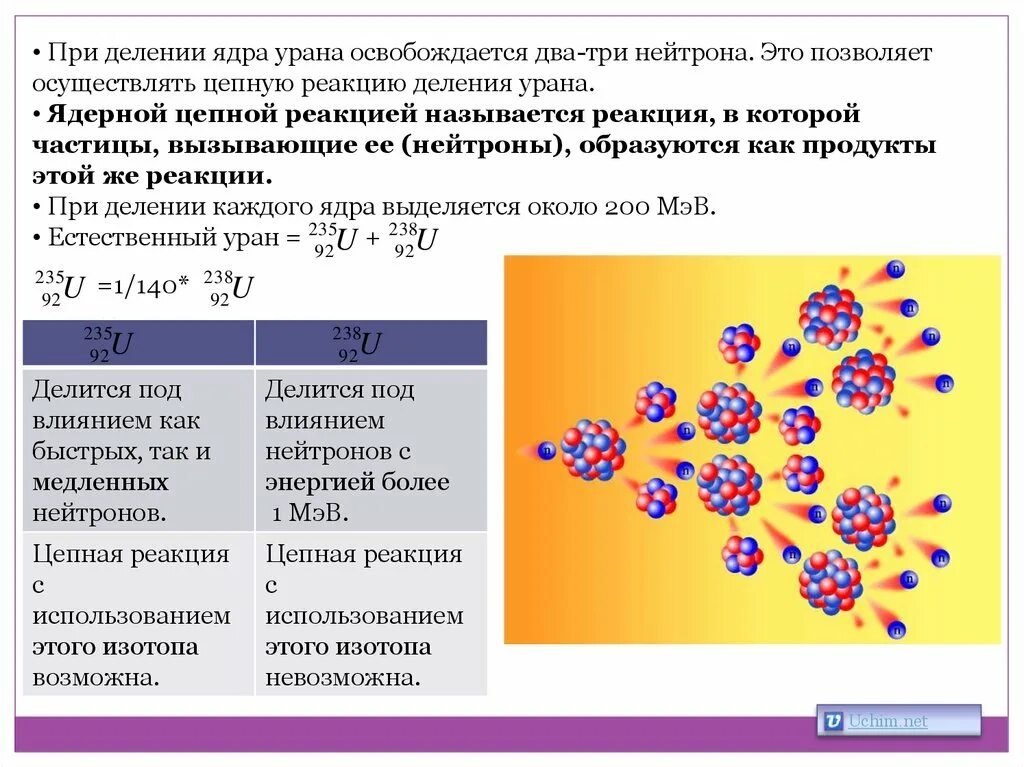 Цепную ядерную реакцию деления урана