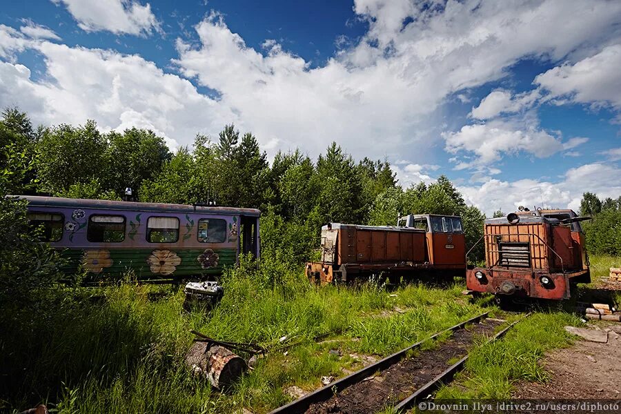 Орудьево ужд. Мшинская узкоколейка. Ужд пяльма. Рельсы ужд. Улица центральная авнюгский.