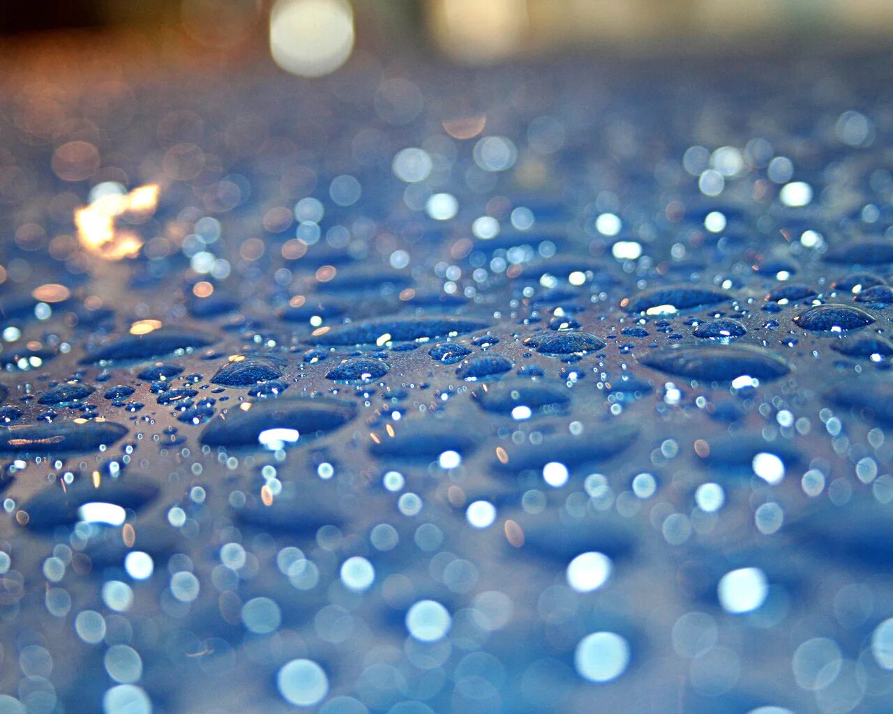Стеклянный синий цветок. Капли дождя. Фон капли. Макросъемка воды. Фон с каплями воды.