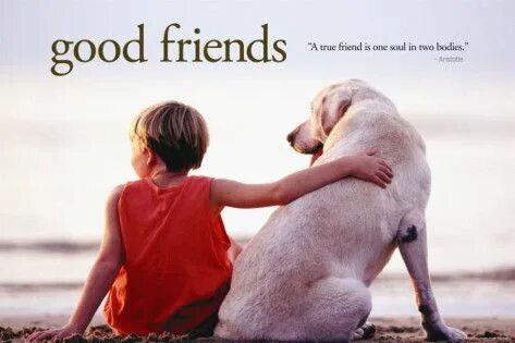 Good friend dog
