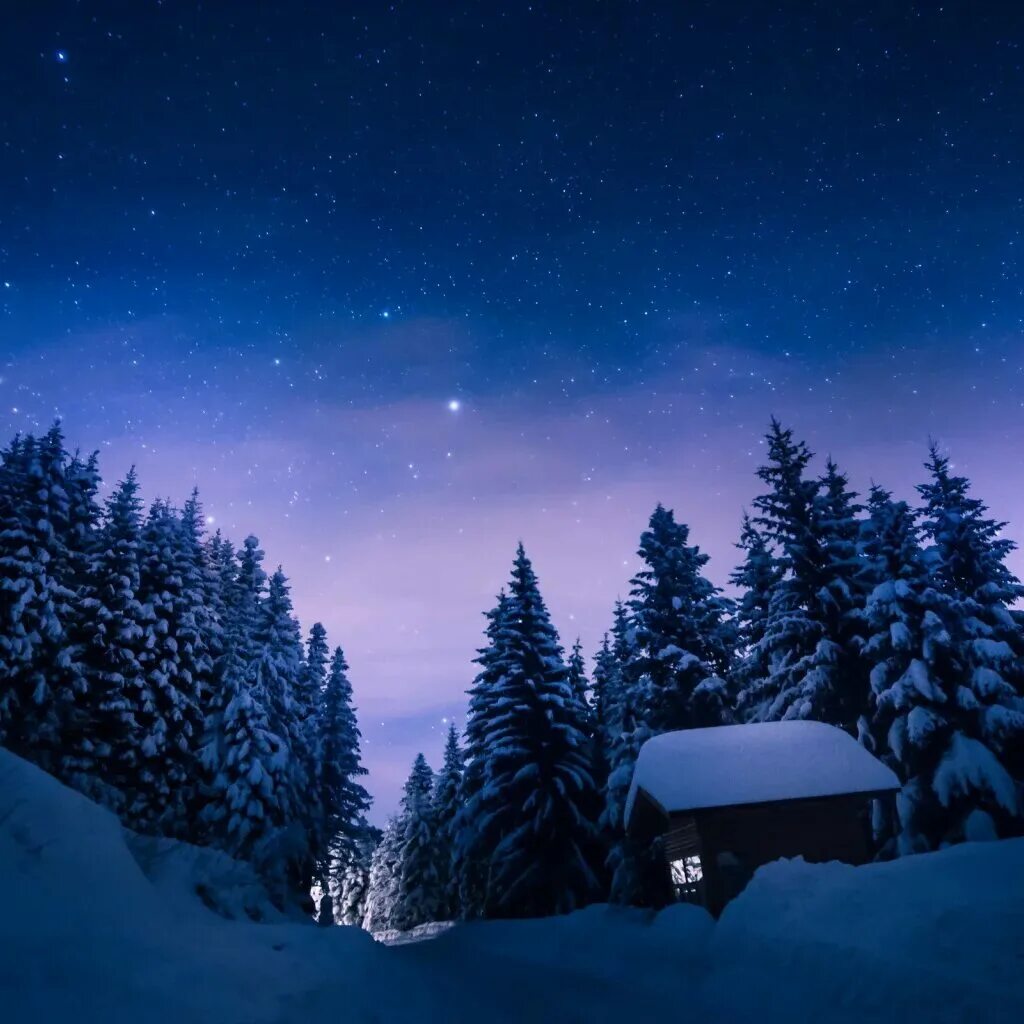 Пожелания зимней доброй ночи. Спокойной зимней ночи. Спокойной ночи зимой. Cпокойной зимний НОЧИGIF. Зима ночь.