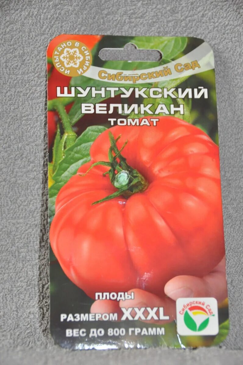 Томат шунтукский великан характеристика и описание. Помидоры великан описание. Семена томат розовый гигант. Томат микадо красный уральский дачник. Помидоры великан описание.