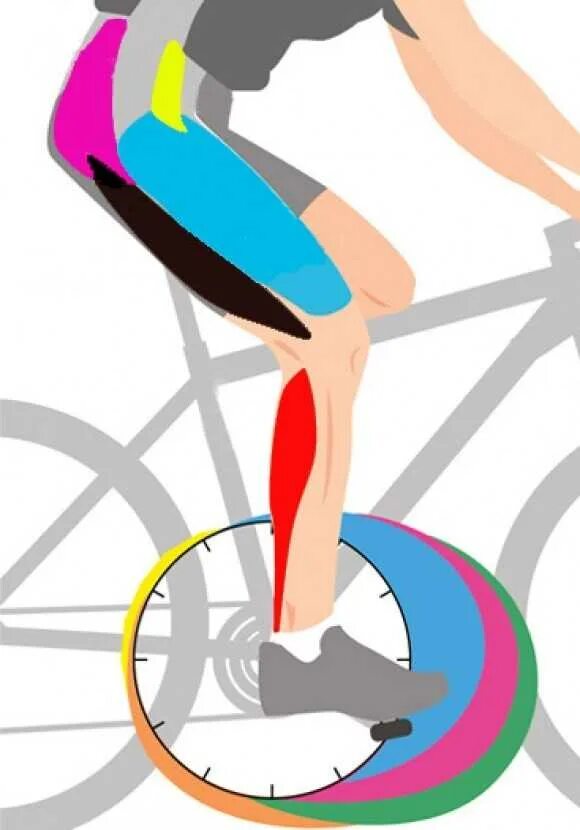 На велосипеде качаются мышцы. Мышцы задействованные при езде на велосипеде. Езда на велосипеде группы мышц. Группы мышц при езде на велосипеде. Группы мышц при езде на велосипеде задействованные.