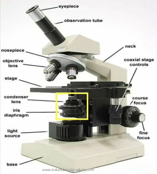 Для чего зеркало в микроскопе. Строение микроскопа конденсор диафрагма. Строение микроскопа конденсор. Конденсор микроскопа na 0.65. Винт конденсора микроскопа.