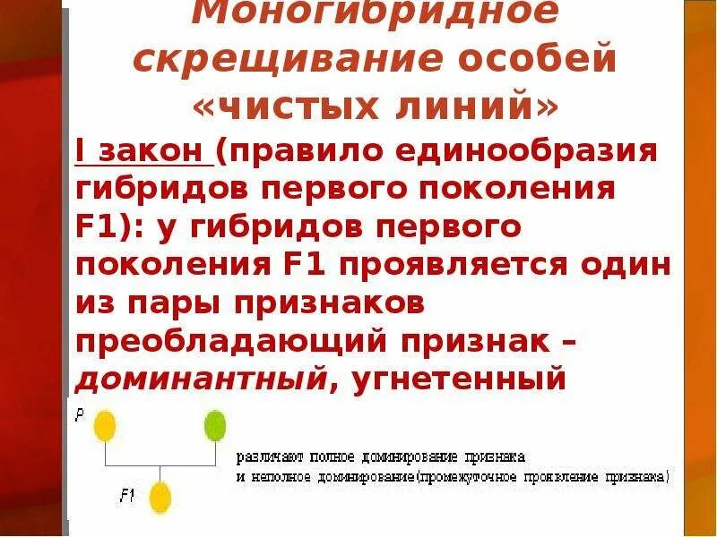 При скрещивании чистых линий между