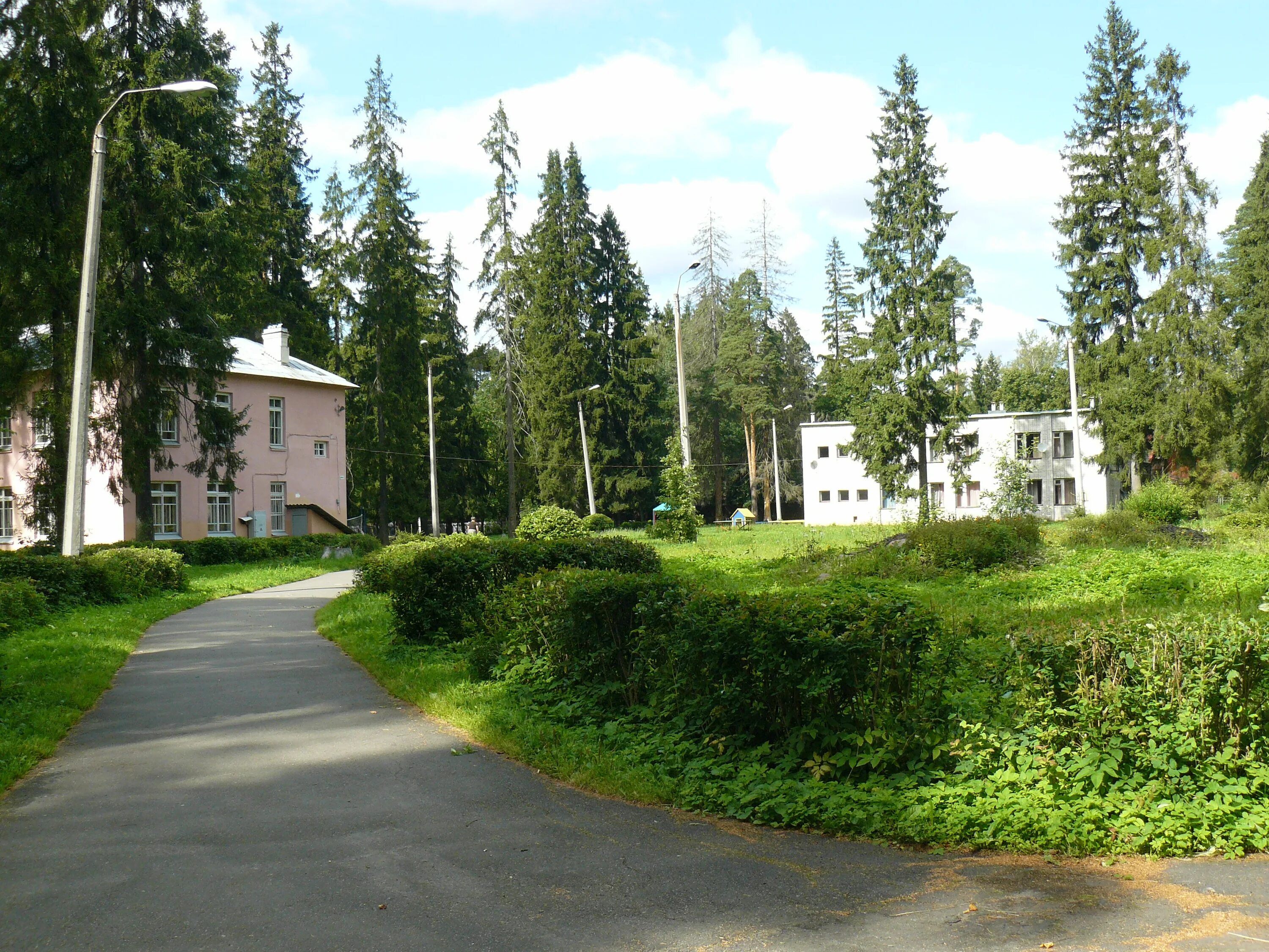 Лагерь адмиралтеец в сиверской. Лагерь адмиралтеец в сиверской лунный камень. Адмиралтеец лагерь сиверский. Лагерь адмиралтеец в сиверской. Лагерь адмиралтеец ленинградская область.