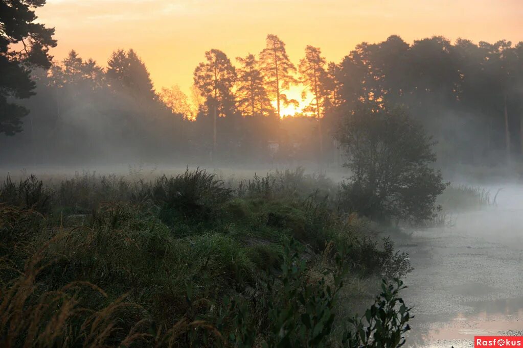 Туман над рекой. Туманы над крыльцом. Туманы над крыльцом. У каждого из нас своя россия текст. Утро туман.