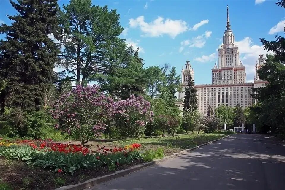 Ботанический сад мгу сирень. Ботанический сад им ломоносова в москве. Сад мгу воробьевы горы. Ботанический сад мгу москва. Ботанический сад мгу им.