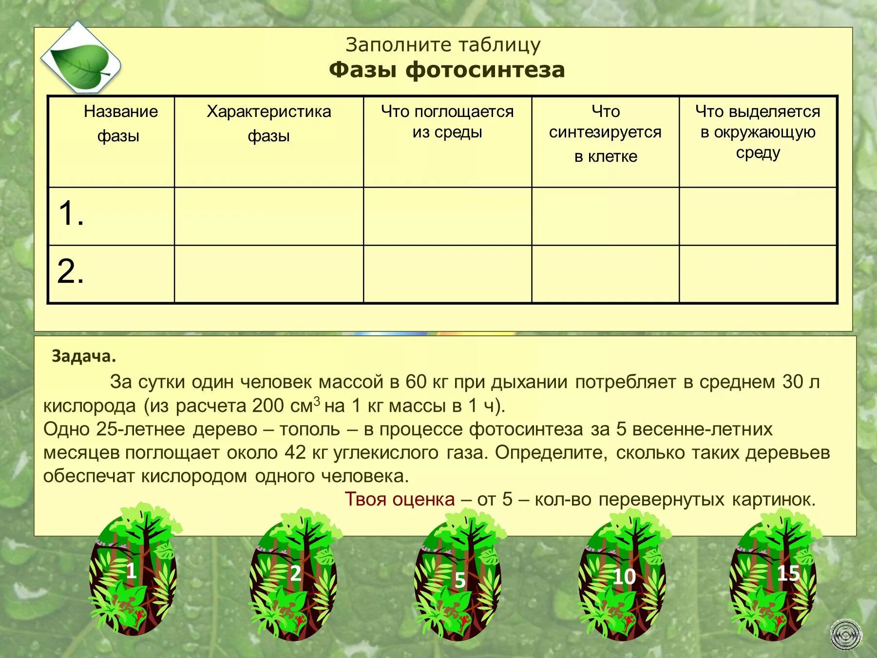 Задания по теме фотосинтез 6 класс