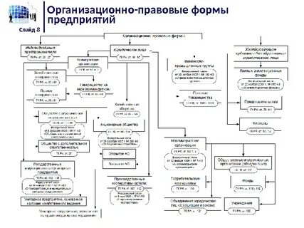 Возможная организационно правовая форма