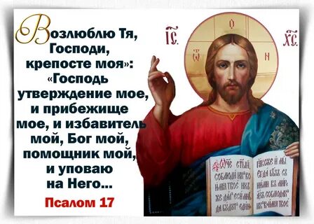Тя боже