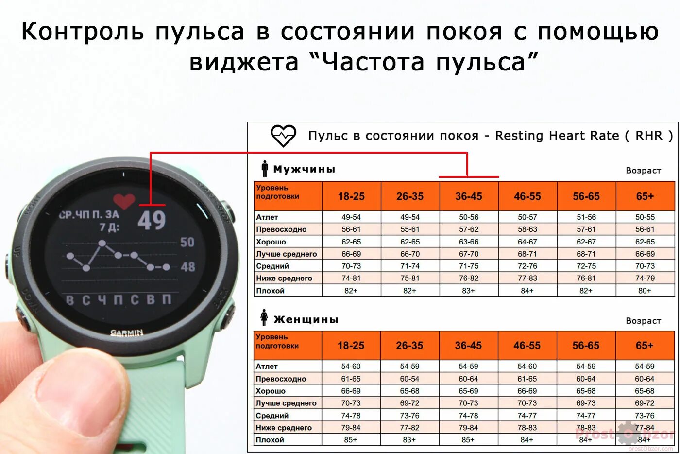 Какой пульс в состоянии покоя. Пульс в состоянии покоя garmin. таблица прогноз времени на соревнованиях в часах garmin forerunner. что такое forerunner в таблице размеров.