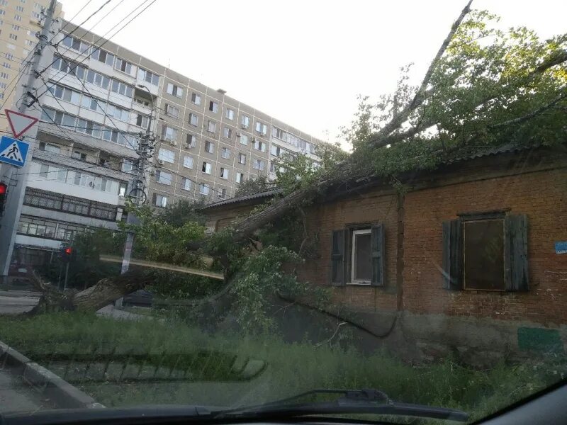 Фрунзенский район саратов сайт. Дерево упало на дом. Фрунзенский район Саратов. Падающий дом на Хользунова. Фрунзенский район ВСАРТОВЕ.