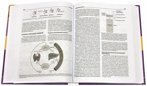 Базисная клиническая эндокринология гарднера