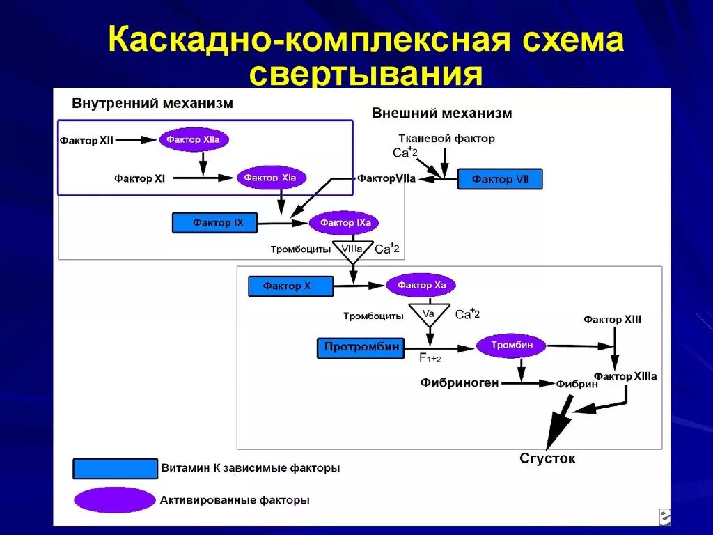 Свертывание крови тест. Схема взаимодействия факторов свёртывания крови. Схема свертывания крови образование сгустка. Каскадная схема свертывания крови. Гемостаз механизмы свертывания крови.