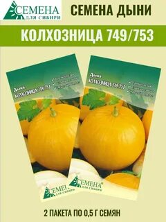 Дыня колхозница отзывы