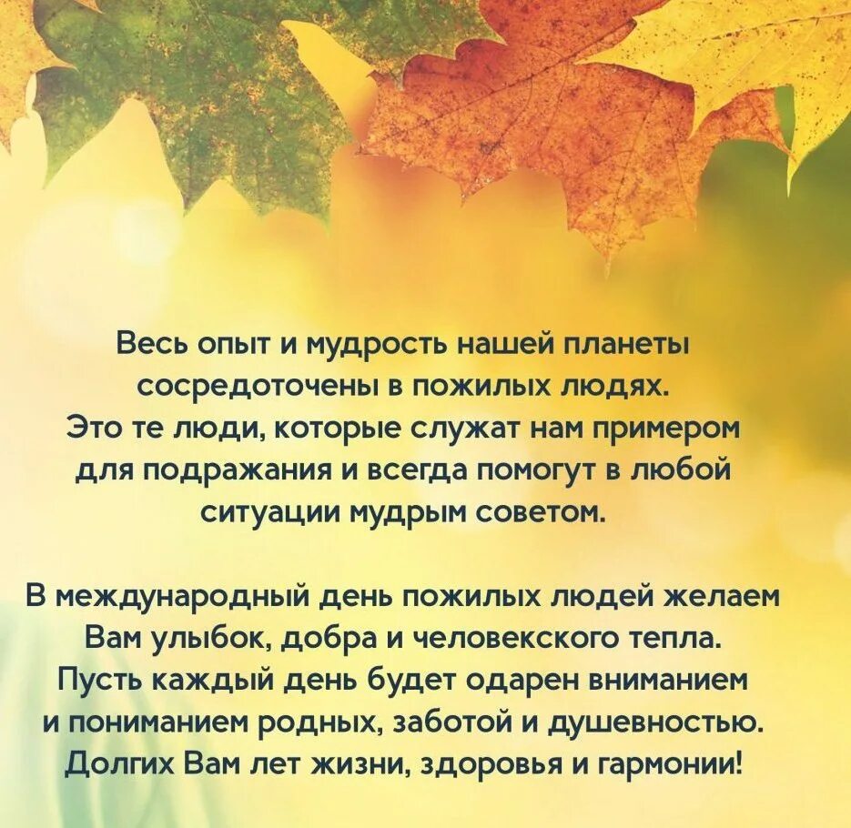 День мудрых 1 октября. 1 октября день добра и уважения. Поздравляем с днем мудрости и доброты. С днём доброты и уважения. День пожилых.