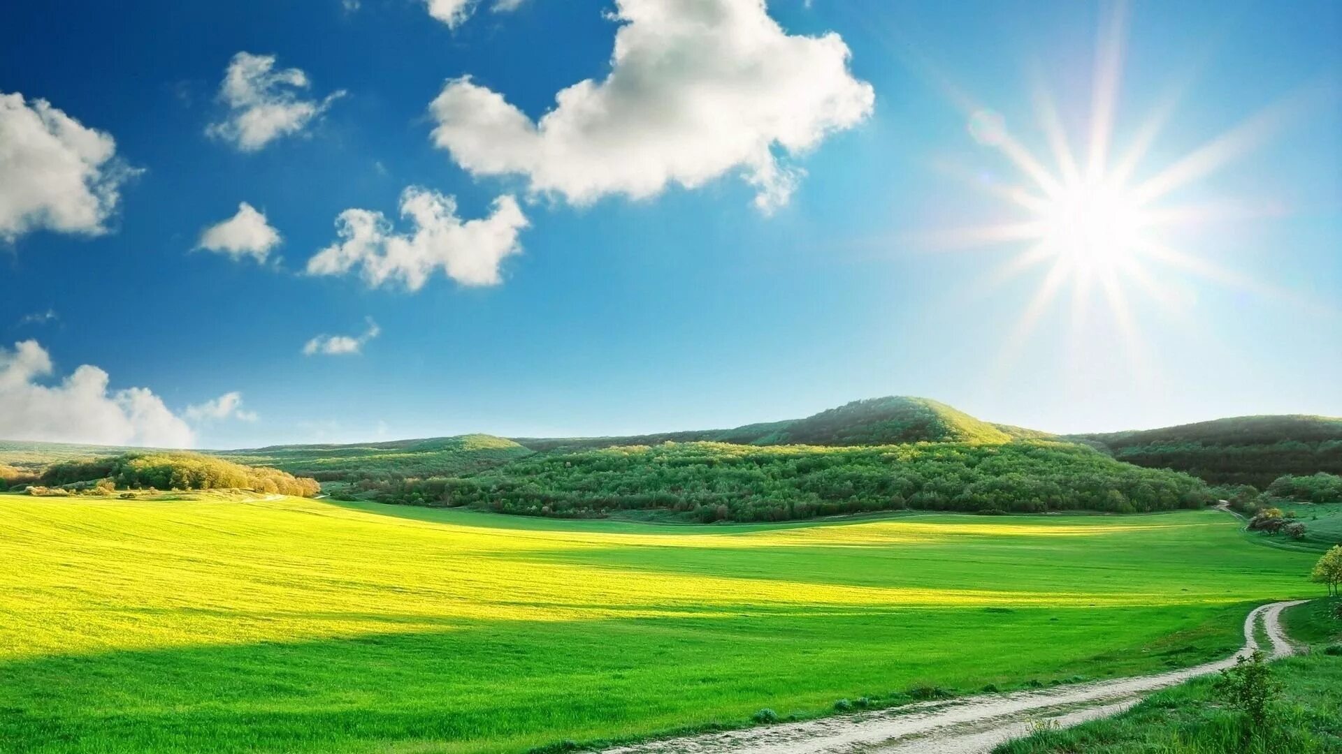 Поля. Поле солнце. Солнце. Sun sunny day. Природа солнце.