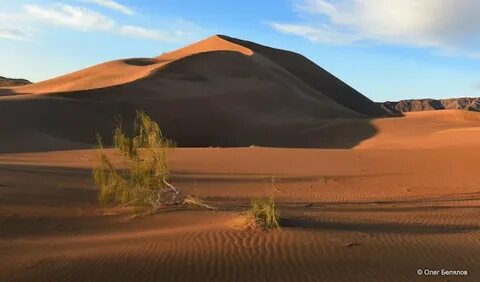 Камминг қыздардың порно видеолары камерада