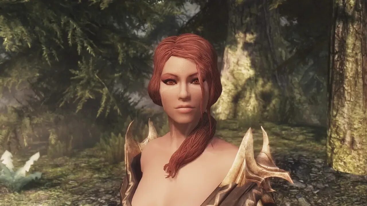 Skyrim vanilla v2. Skyrim vanilla v2