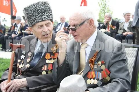 Чеченские ветераны