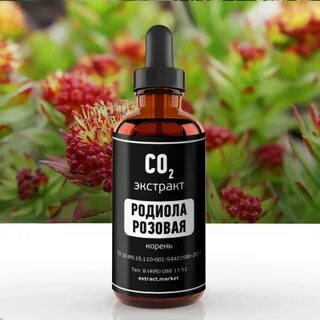 Экстракт радиолы