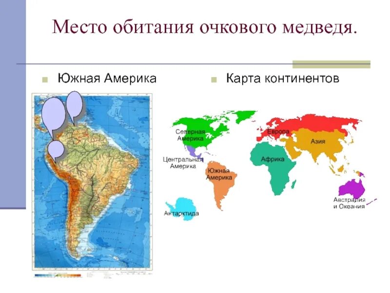 Где живут медведи на каком материке. Очковый медведь место обитания. Карта обитания медведей. Места обитания медведей на карте. Бурый медведь места обитания на карте.