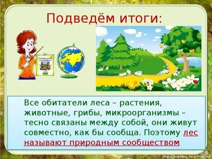 Рассказ о каком либо природном сообществе