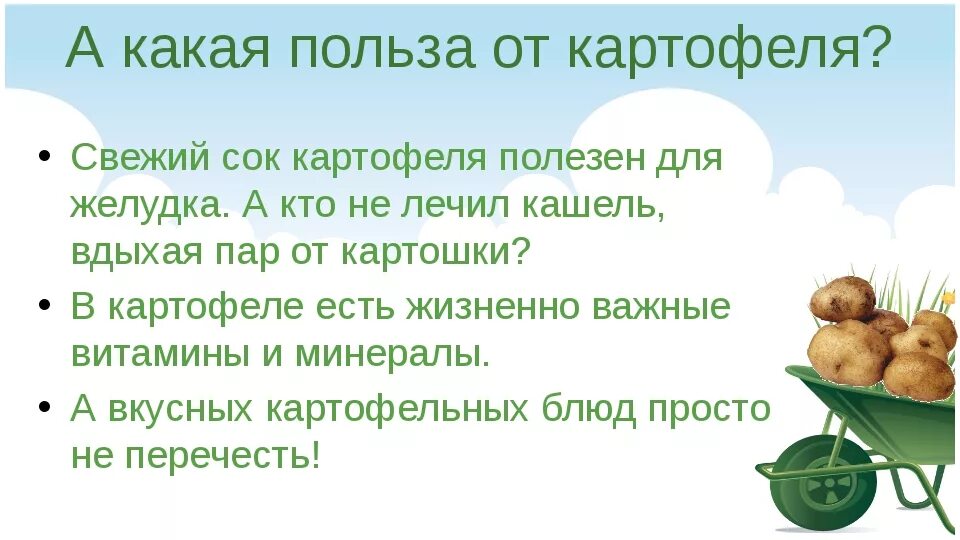 Чем полезен картофель. Польза картошки. Чем полезен картофель для организма. Чем полезна картошка для организма