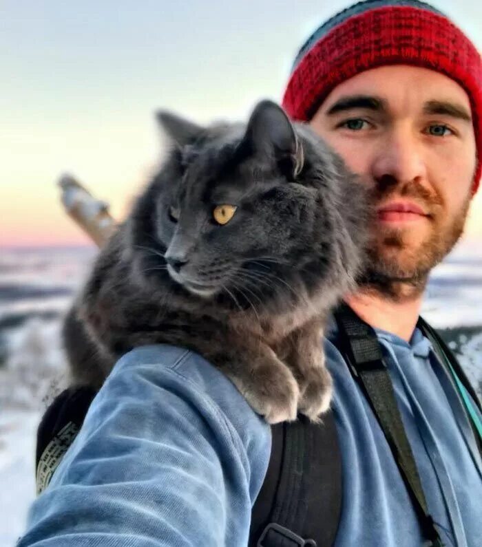 Чувак кот. Парни с котами. мужчина с котом. мужчина кошатник. брутальные мужчины с котиками.