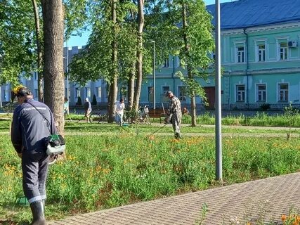 Погода в велиже на месяц