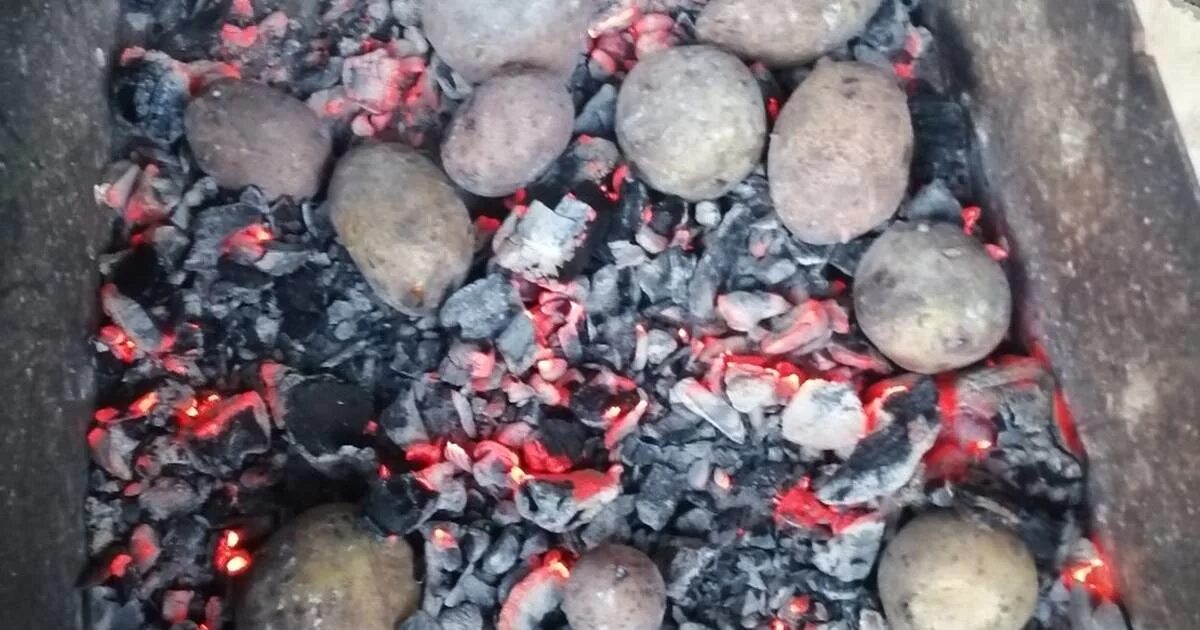 Картошка на костре. Картошка в фольге на костре. Картошка в фольге на углях. Печеная картошка на костре. Печеная картошка на углях.