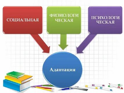 Адаптация полученных знаний