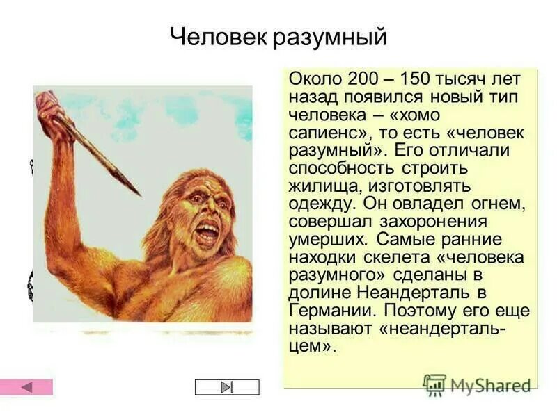 Сколько лет назад возникла. Вид человек разумный (homo sapiens). Хомо сапиенс сапиенс характеристика. Появление человека разумного.