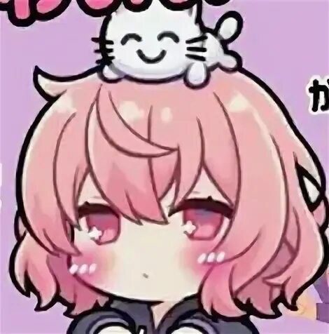 Neko hole