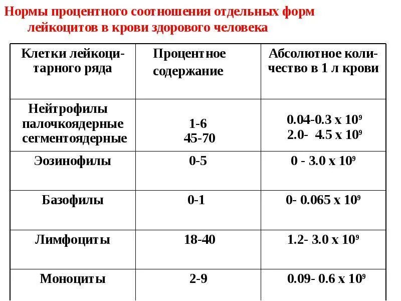 Лейкоциты повышены что это значит у женщин. Анализ мочи лейкоциты норма у мужчин после 50 лет таблица. 08. Лейкоциты в крови норма у женщин 40 лет таблица. 2.