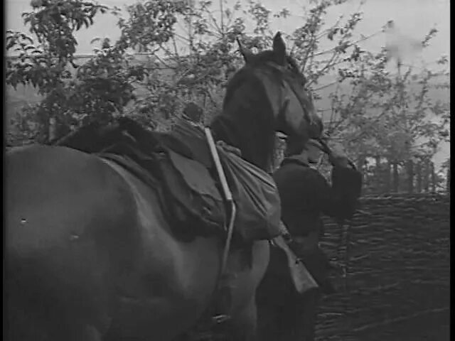 Шолохов донские рассказы лазоревая степь. В лазоревой степи. (1970). лазоревая степь шолохов.
