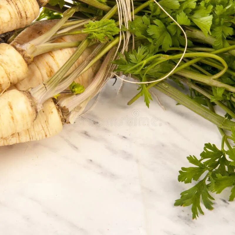 Корень пастернака и корень петрушки. Петрушка корневая урожайная. Корень петрушки ку свежий. Корень петрушки молотый. Свежий корень петрушки.