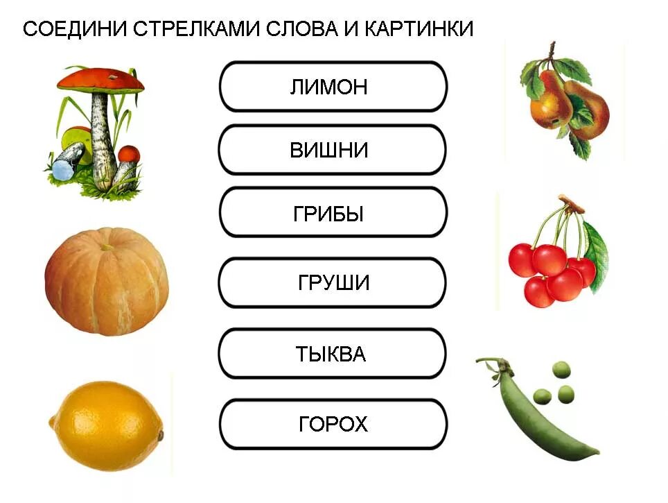 Соотнеси слова с картинками