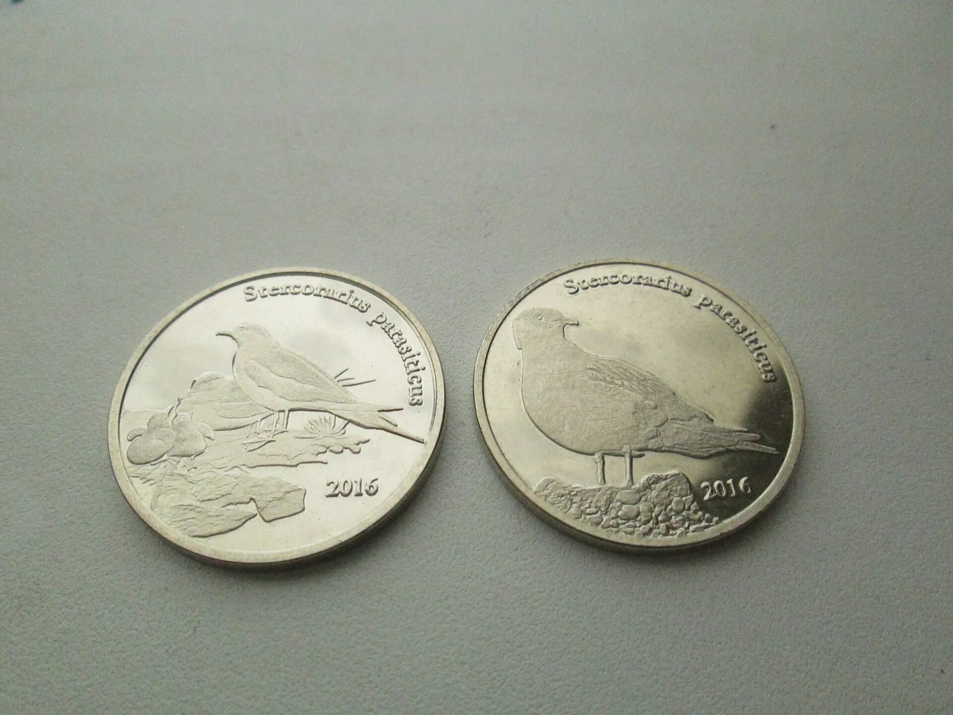 Коллекционер монет интернет. Коллекционная монета Илбирс. Коллекционер монет человек. Эстонская коллекционная монета.