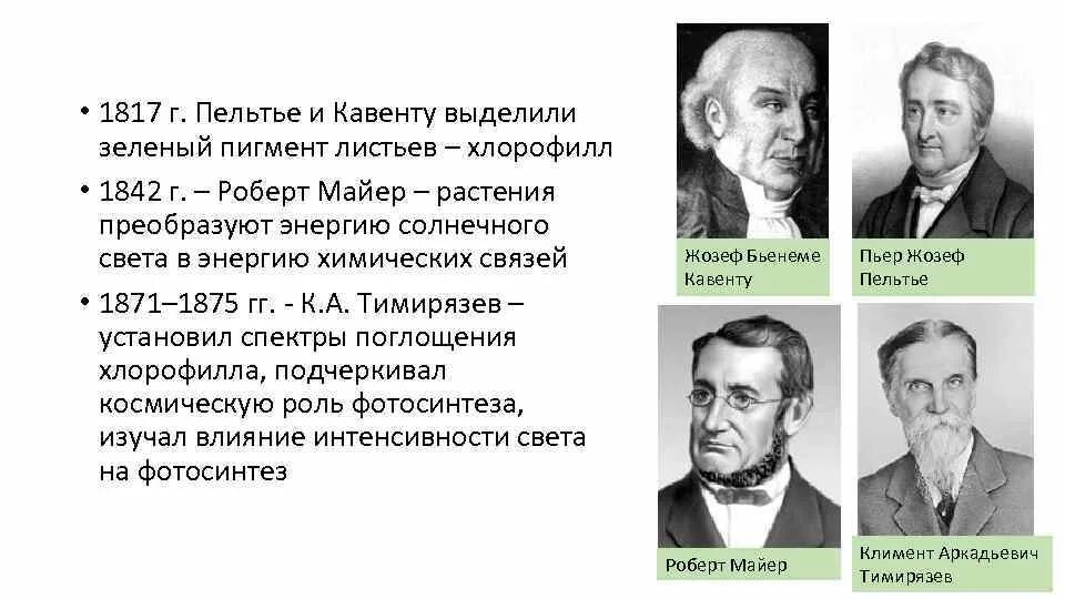 Впервые значение хлорофилла установил русский ученый. Жозеф Каванту. Пьер Жозеф Пеллетье и Жозеф Бьенеме Каванту. Пельтье и Каванту фотосинтез.