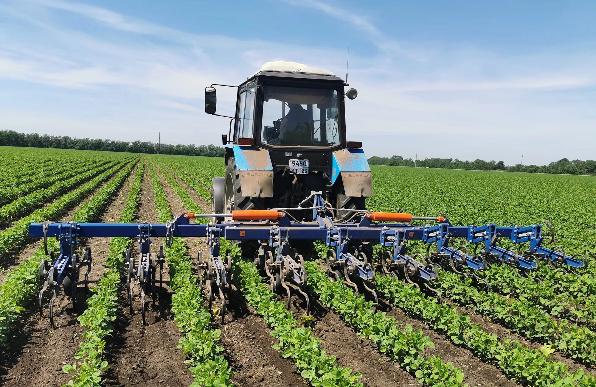 Поле с культурами. Пропашное земледелие. Агротехнические противоэрозионные мероприятия. Интенсивное земледелие. Пропашное земледелие.