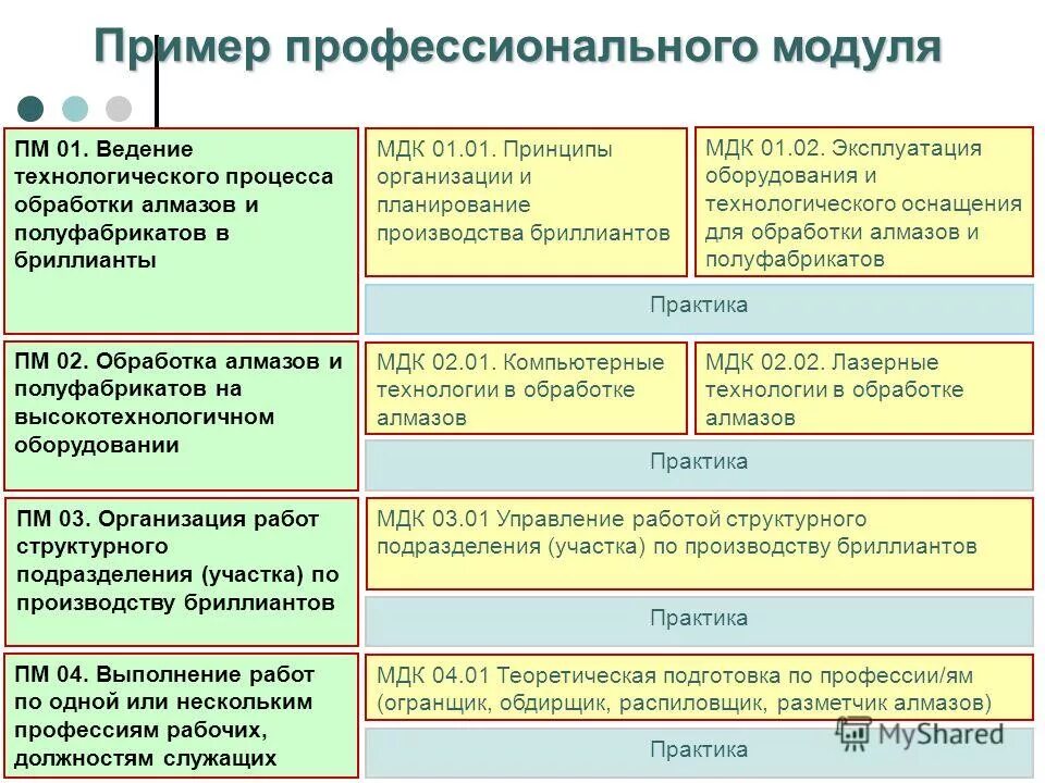 Примеры профессионального общества