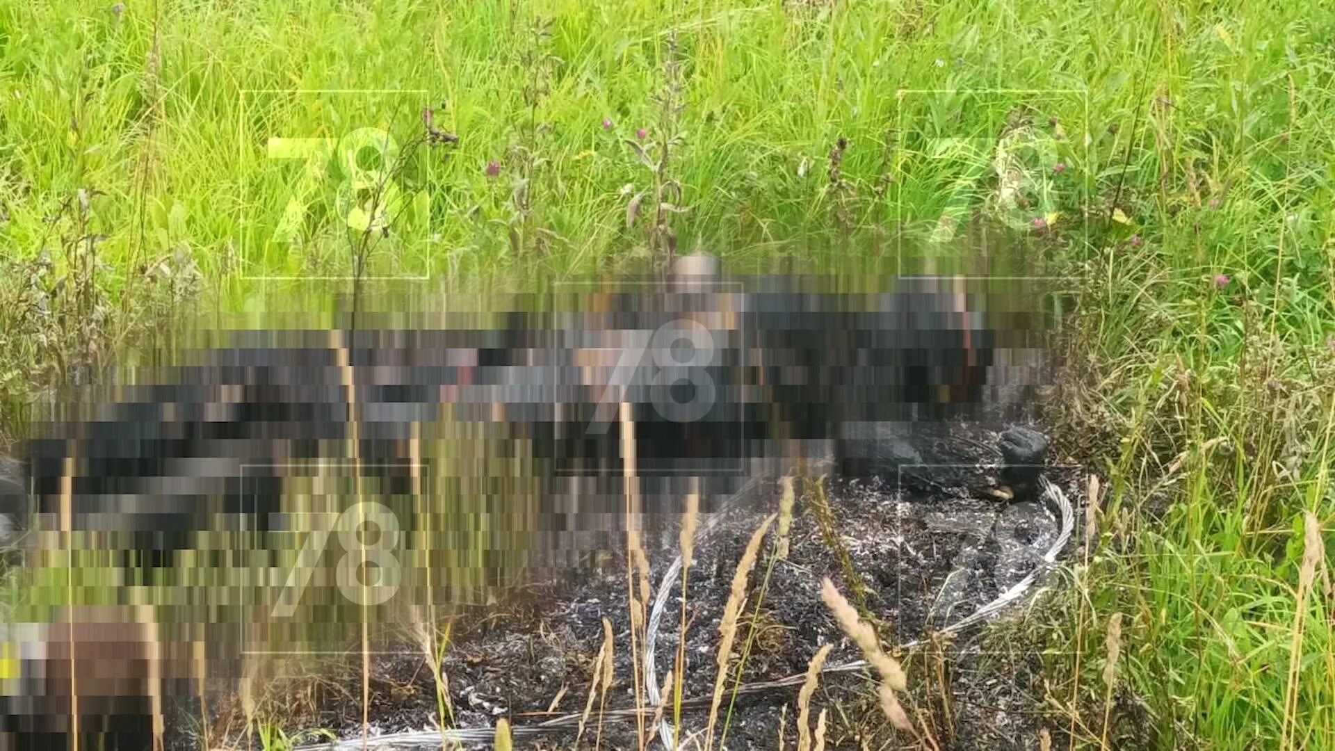 Убило током в воде. Сгоревший кабель. обугленное тело после удар током.