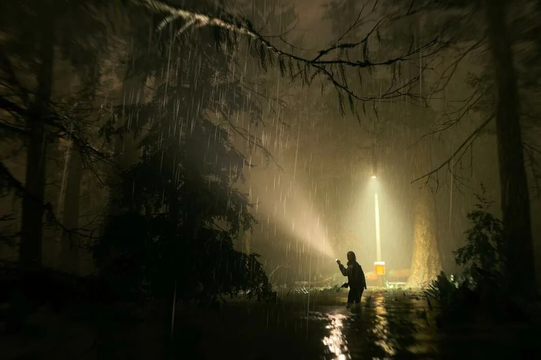Investigations sector. Alan wake 2. Alan wake 2 игра. Alan wake 2 dlc lake house. Alan wake 2 dlc lake house.